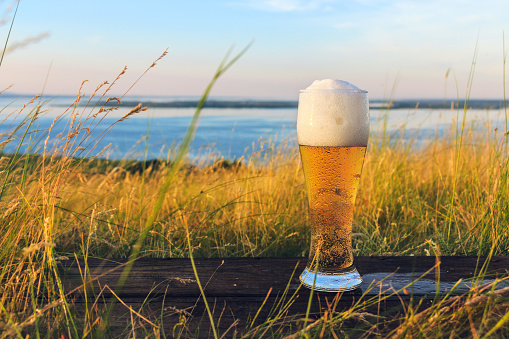 Misted mug of cold beer and picturesque landscape with golden rye fields and barley fields. Summer vacation.