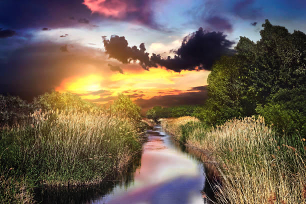 river with reeds on thethe banks of