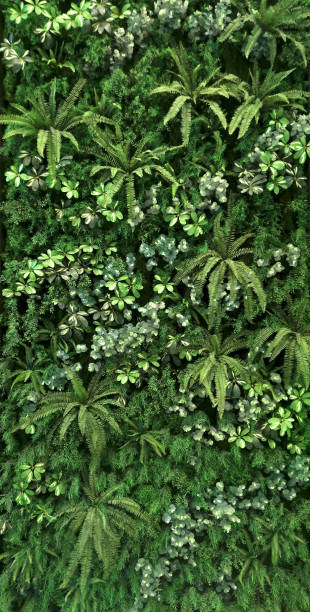 istock vertical garden with tropical green leaf, contrast 815056364