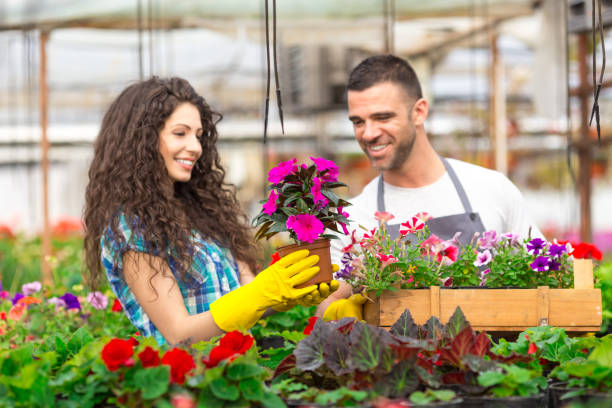 istock Couple garden center workers 815057776