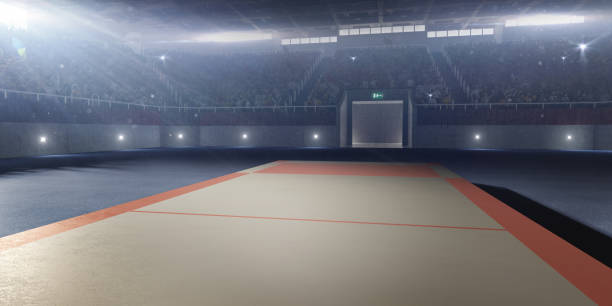 istock A 3D professional scene for fencing 815059402