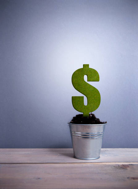 istock Dollar investment concept 815062118