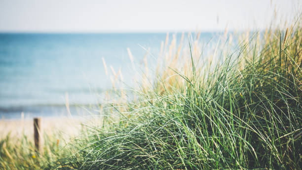 istock At the Baltic Sea on sunny day 815062292