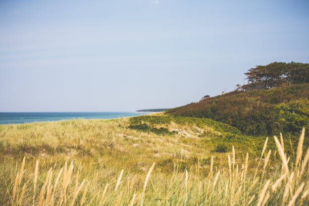istock At the Baltic Sea on sunny day 815069116