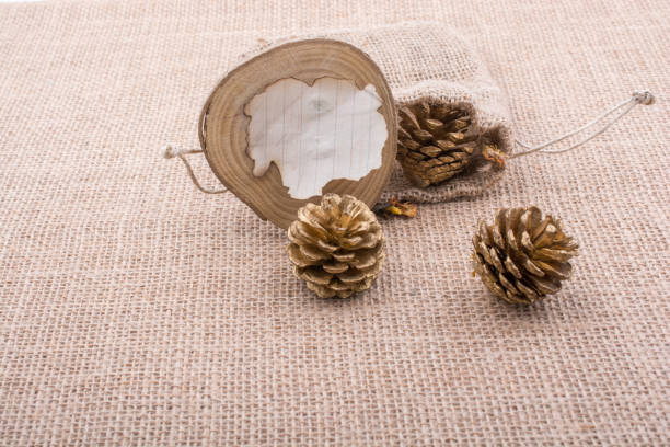 istock Pine cones out of sack and burnt paper 815074514