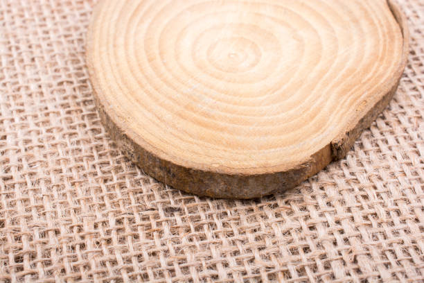 istock Small piece of cut wood logs 815074588