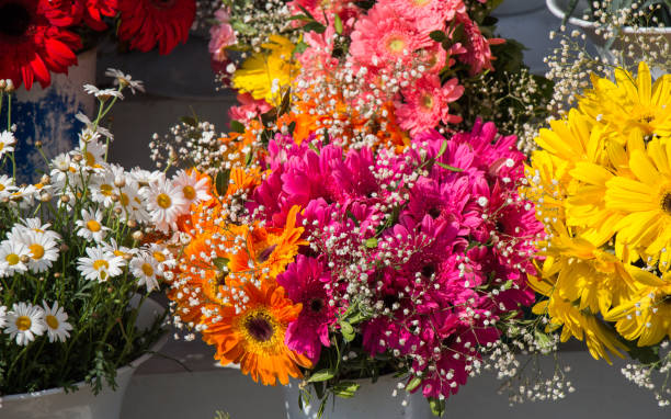 istock Colorful blooming   flowers in vase 815074616