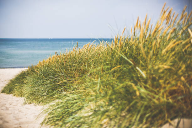 istock At the Baltic Sea on sunny day 815074728