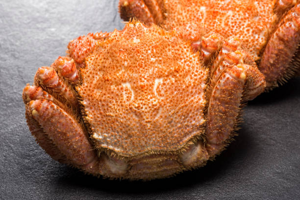 istock horsehair crab 815075440