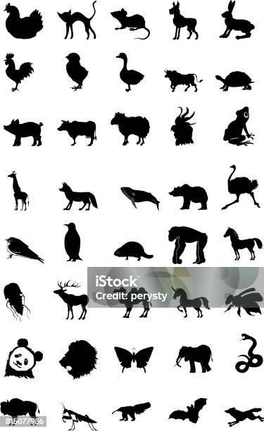 World Of Animal Stock Illustration - Download Image Now - Bat - Animal, Pig, Frog