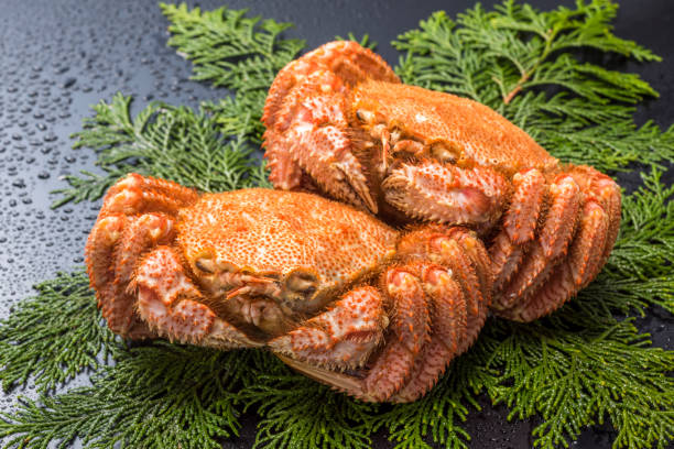 istock horsehair crab 815078602