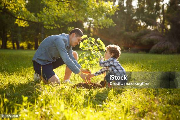 Padre E Hijo Plantación Árbol Foto de stock y más banco de imágenes de Árbol - Árbol, Plantar, Familia