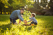 Parent and child planting tree