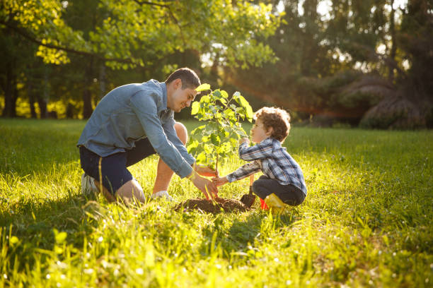 Parent and child planting tree Father wearing gray shirt and shorts and son in checkered shirt and pants planting tree under sun. gardening stock pictures, royalty-free photos & images