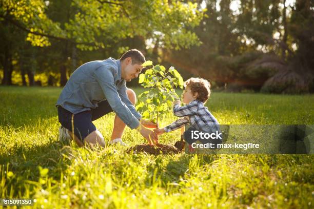 Parent And Child Planting Tree Stock Photo - Download Image Now - Tree, Planting, Family