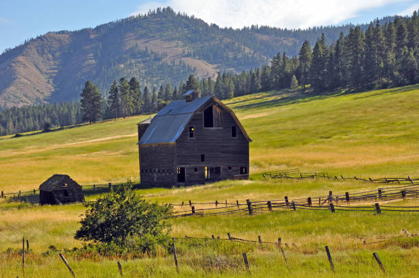 istock Old wooden barn and shed 815104408