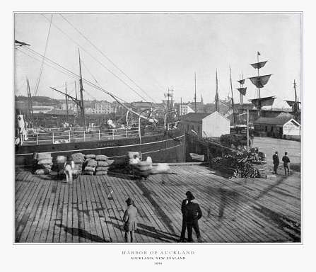 Antique New Zealand Photograph: Harbor of Auckland, New Zealand, 1893: Original edition from my own archives. Copyright has expired on this artwork. Digitally restored.