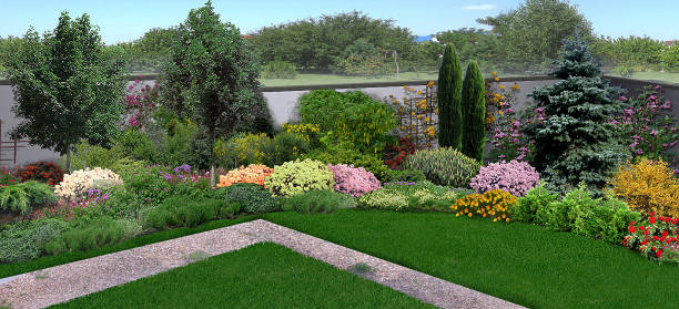 istock Unified look of backyard, 3d render 815106782