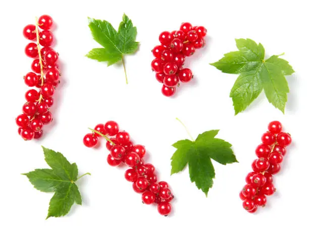 Fresh ripe and juicy red currant with leaves isolated on white background, top view