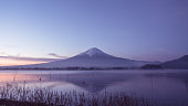 川口日本産鴨のグループからぼかしモーションで空と富士山脈の背景が付いている湖から見る夜の風景
