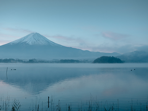 motion blur from  group of duck floating on lake foreground and fuji mountain background with fog and sunrise from japan