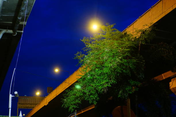 istock Modern street lights illuminated 815159782