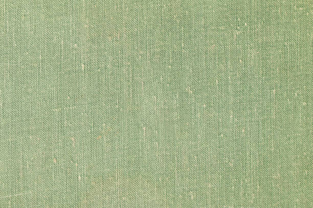 istock Grunge cloth texture. Old book cover. 815169686