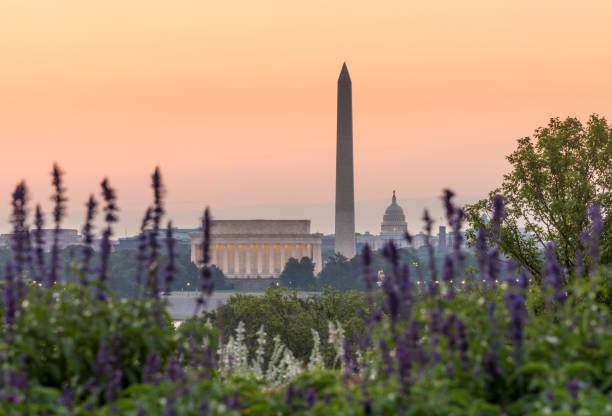 istock Dawn from Netherlands Cotillion of Washington DC 815181186