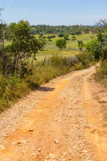 istock Farm road in Vale Seco, Santiago do Cacem 815191120