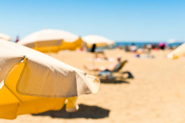 istock umbrellas in a beach in the Mediterranean sea 815196816