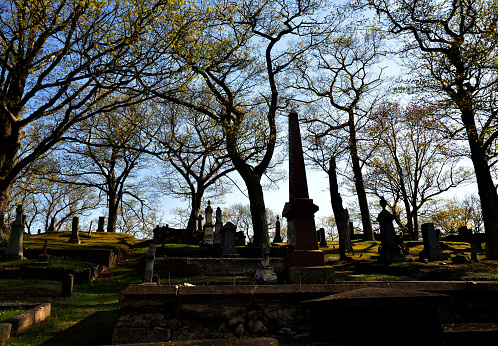 Grave Yard Silhouette (early morning in Springtime)