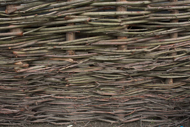 istock Wooden rustic fence made with chopped branches intertwined togather 815208304
