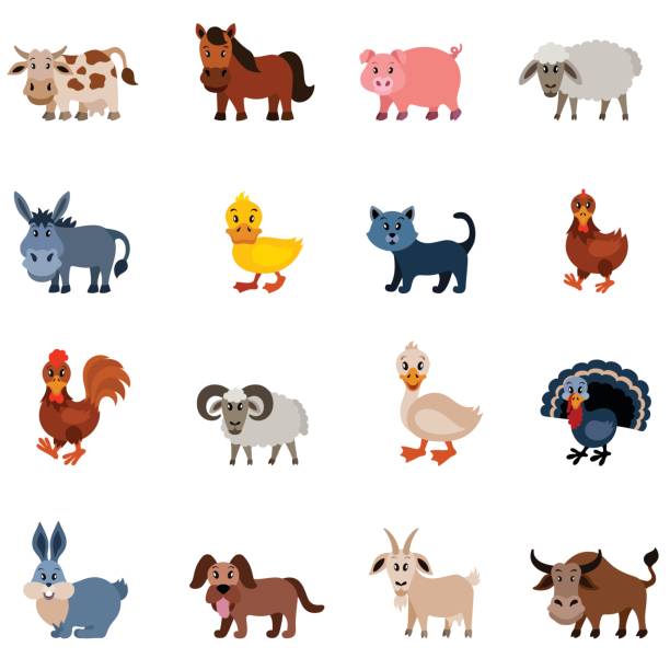 ilustrações, clipart, desenhos animados e ícones de personagens de animais domésticos - farm animal cartoon cow