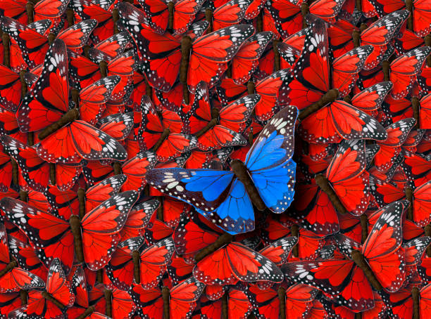 istock Background of Buterflies 815211682