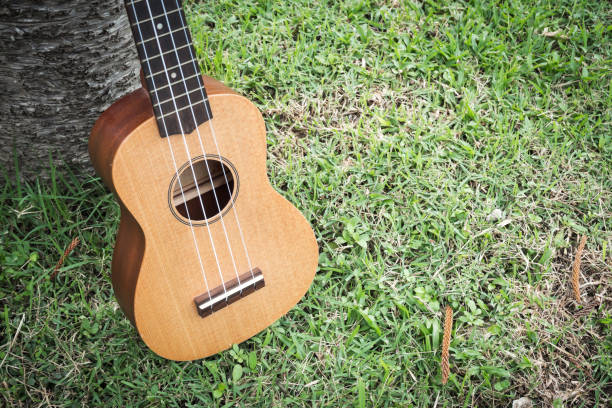 istock Ukulele on grass field. Acoustic music instrument. 815218618