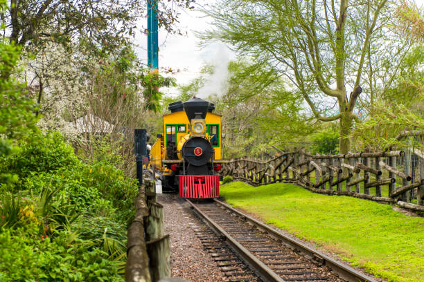 Tampa, USA - March 19, 2016: People were riding a train in the Busch Gardens.