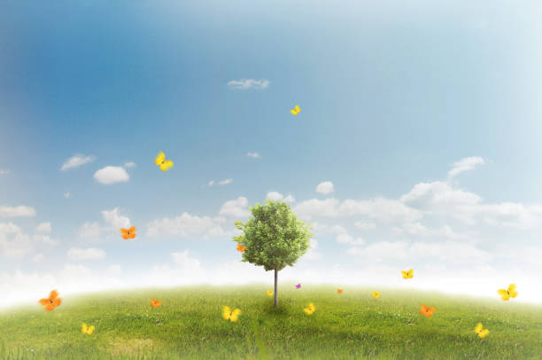 istock Panorama of green field 815221638