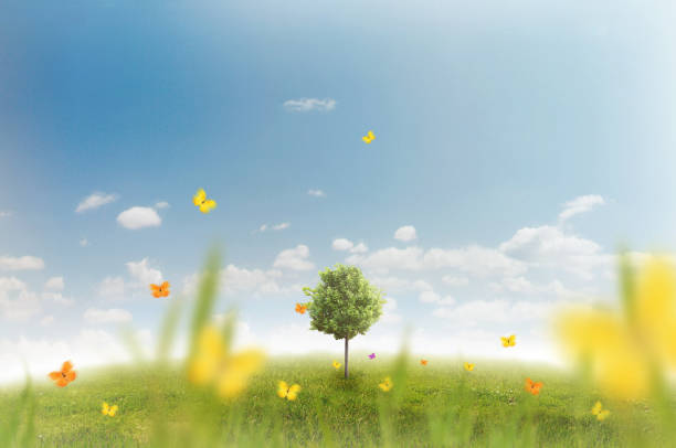istock Panorama of green field 815221646