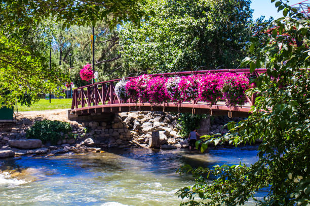 Walkway Bridge Over Truckee River Walking Bridge With Colorful Flowers Over Truckee River In Reno, Nevada truckee river photos stock pictures, royalty-free photos & images