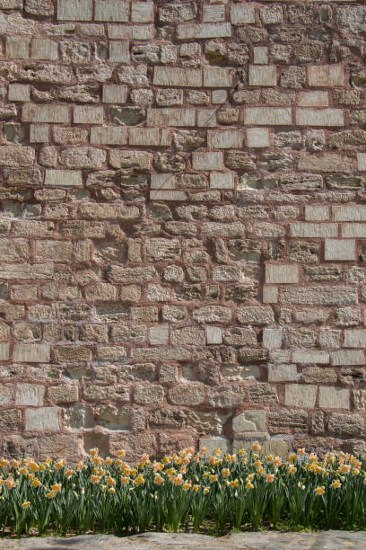 istock Wall made of the same type of stones 815240894