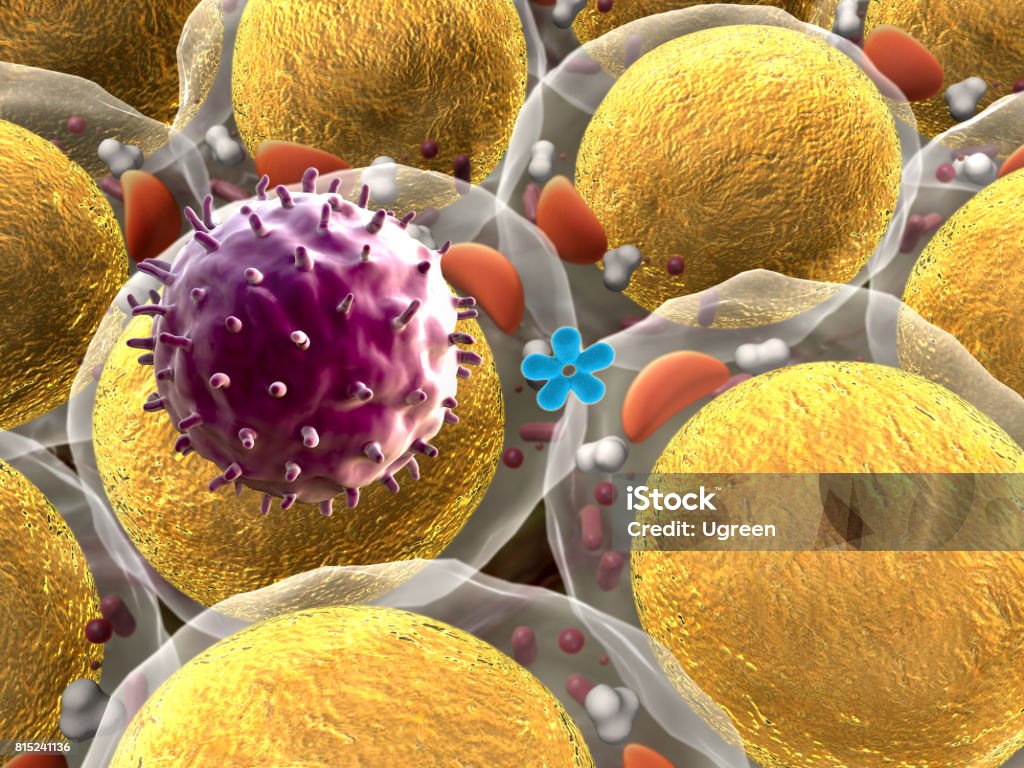 viruses attack the cells group of living cells under microscope, field of fat cells, field of cells, macrophages attack the cells, action of the human immune system, cells and leukocyte Acid Stock Photo