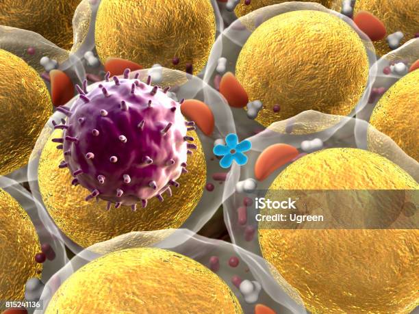 Viruses Attack The Cells Stock Photo - Download Image Now - Acid, Adipose Cell, Antibody