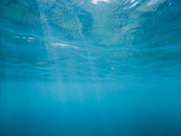 istock Blue texture underwater in tropical sea. 815247528