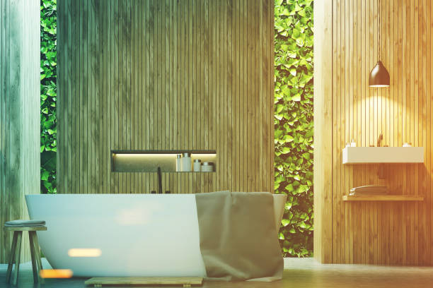 istock Eco bathroom, a sink and wood toned 815256602