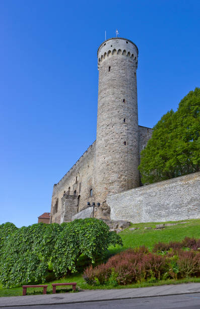 istock Medieval defensive wall with Tall Hermann (Pikk Hermann)  tower in old Tallinn, Estonia 815264156