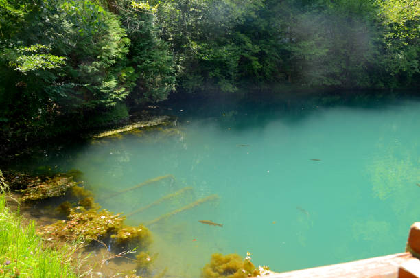 istock The Beautiful source of the river 815271110