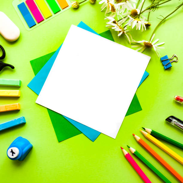 istock Green leaves on color green background 815277488