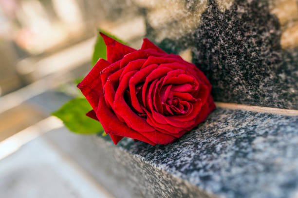istock Flower on memorial stone close up 815284728