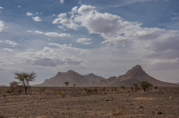 istock Morocco steppe landscape with trees and mount at background. Area between Atlas mountains range and Sahara desert. 815284966