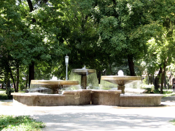 istock Tashkent fountain in Amir Temur Square 2007 815287850